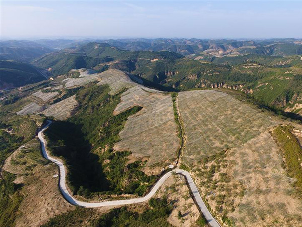 延安：退耕還林二十年 改變的不止山水