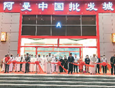 海外華商搶抓“十四五”新機遇