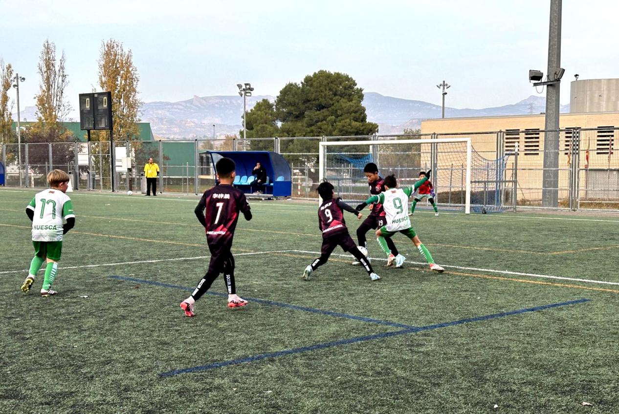 微信图片_20241203104650