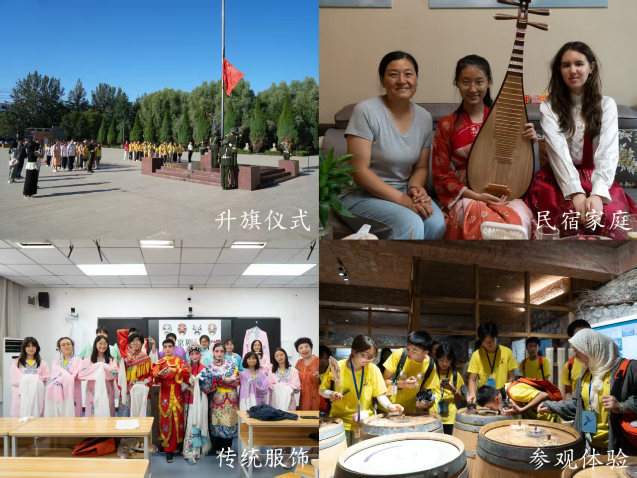 图片3
