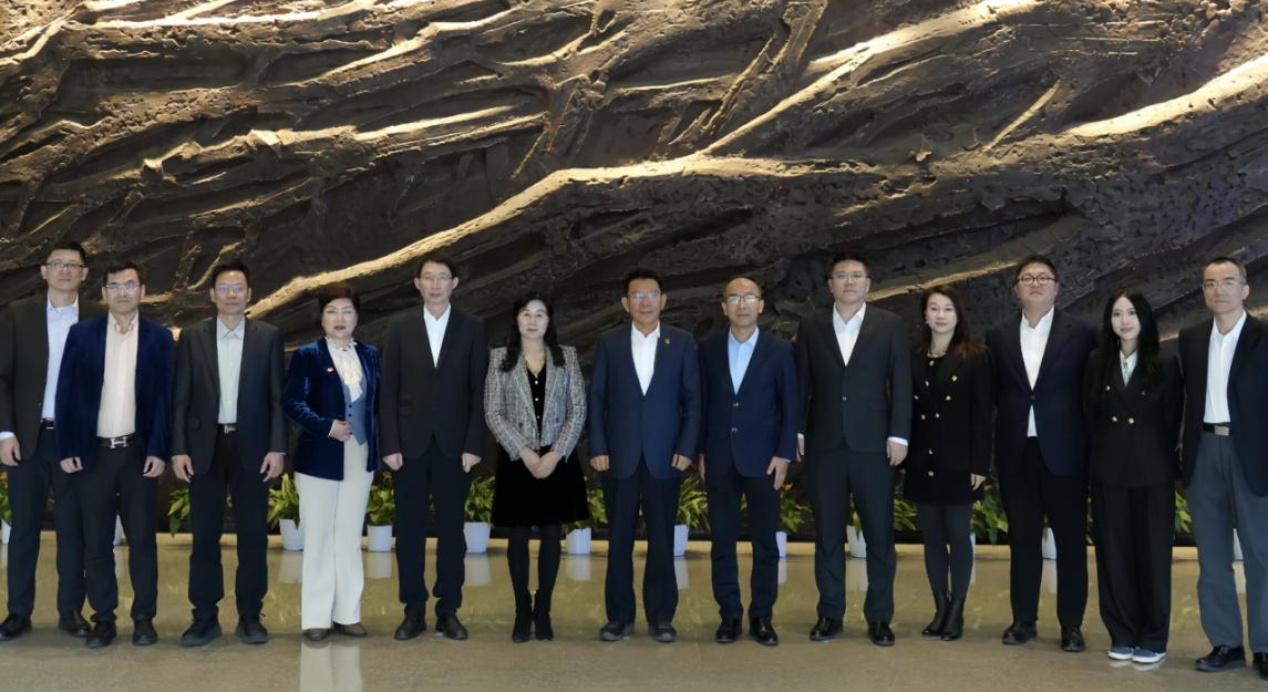 王灵桂会见加拿大中华总商会访问团