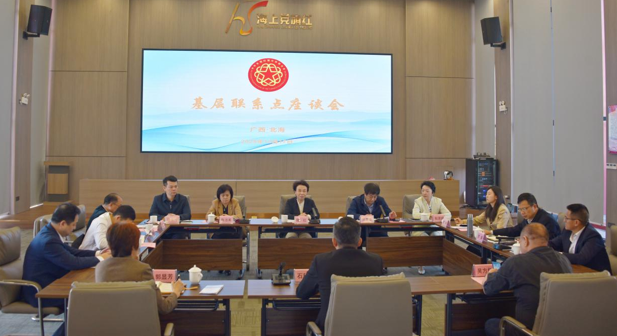 程红在广西北海基层联系点开展调研工作