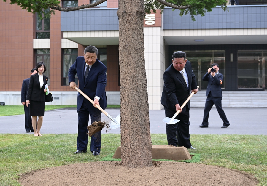 当地时间6月9日上午,中共中央总书记、国家主席习近平在朝鲜劳动党总书记、国务委员长金正恩陪同下,参访位于平壤的朝鲜劳动党中央干部学校。这是在教学楼之间的林地上,习近平和金正恩共同种下一株枞树。新华社记者 燕雁 摄