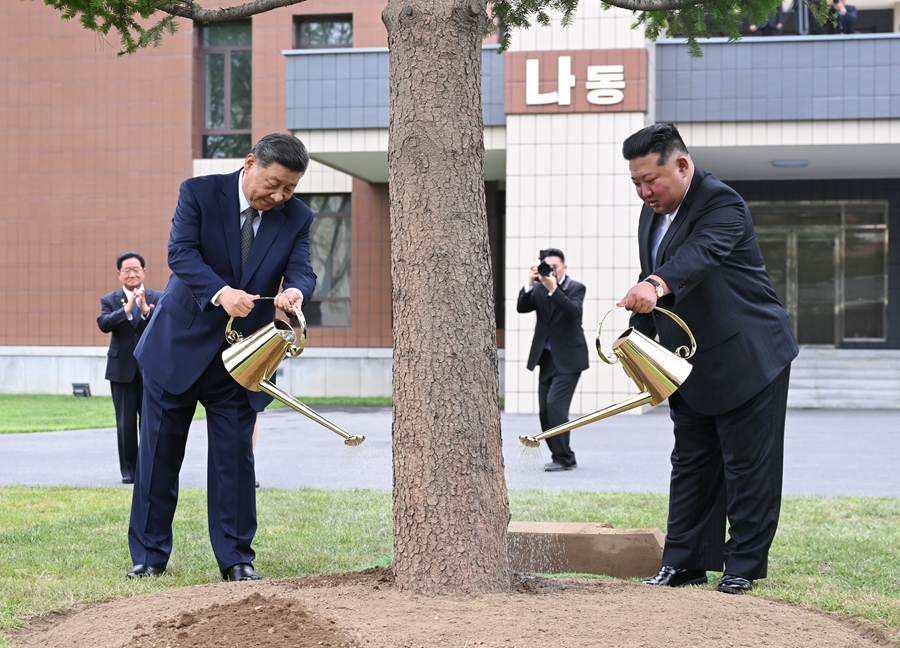 当地时间6月9日上午,中共中央总书记、国家主席习近平在朝鲜劳动党总书记、国务委员长金正恩陪同下,参访位于平壤的朝鲜劳动党中央干部学校。这是在教学楼之间的林地上,习近平和金正恩共同种下一株枞树。新华社记者 燕雁 摄