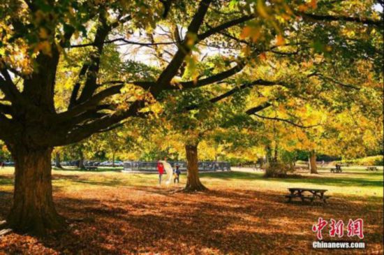 　當地時間10月17日，美國紐約州克羅頓峽谷公園秋色正濃，民眾在公園中進行休閑活動。<a target='_blank'  data-cke-saved-href='http://www.chinanews.com/' href='http://www.chinanews.com/'><p  align=