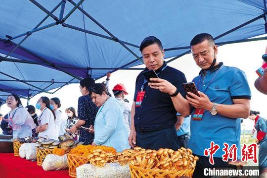 7月5日，“創業中華·筑夢隴原”僑領僑商武威行活動主體大會在甘肅武威市舉。百余位僑商實地考察洽談。　甘肅武威市委宣傳部供圖