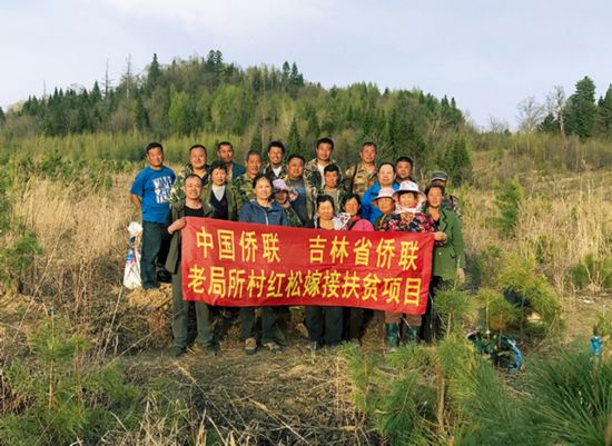 在吉林省侨联的大力帮扶协调下，该项目得到了中国侨联专项支持，特为老局所村注入扶贫资金20万元，用于红松嫁接项目.jpg