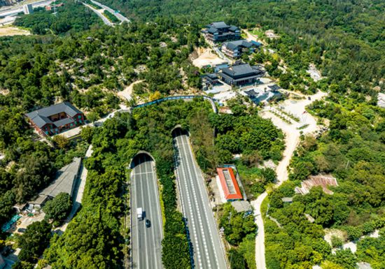 高速公路穿過玉溪村（劉翼）.jpg