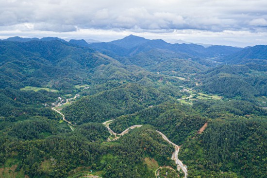 這是2025年7月22日在海南省保亭黎族苗族自治縣毛感鄉拍攝的熱帶雨林及蜿蜒其中的環熱帶雨林國家公園旅游公路（無人機照片）。新華社記者 蒲曉旭 攝
