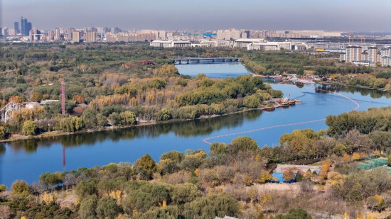  這是2024年11月5日拍攝的北京城市副中心和大運河森林公園。新華社記者 鞠煥宗 攝